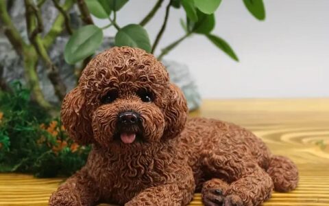 泰迪狗能活多久？如何延长寿命